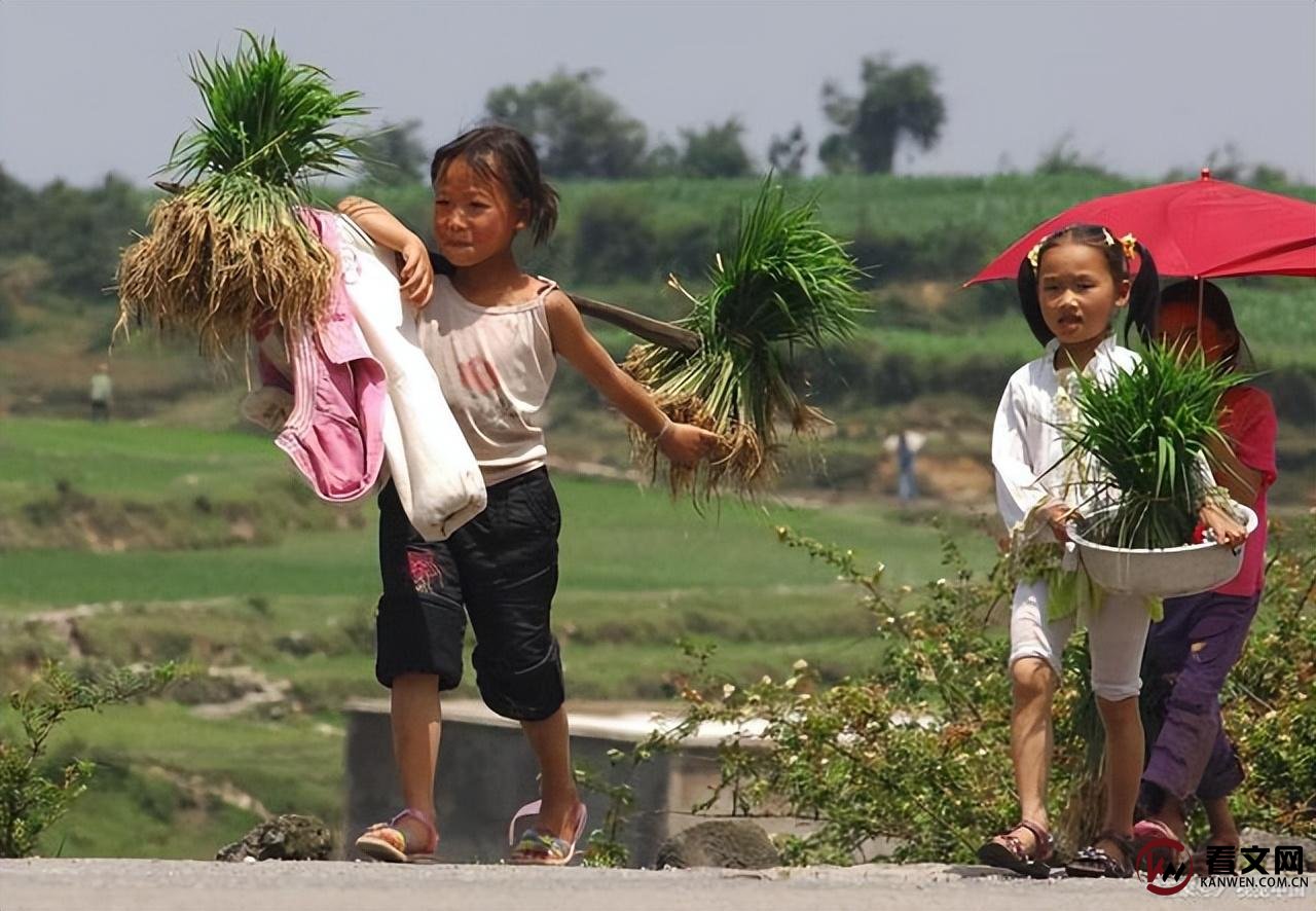 穷人不配生小孩