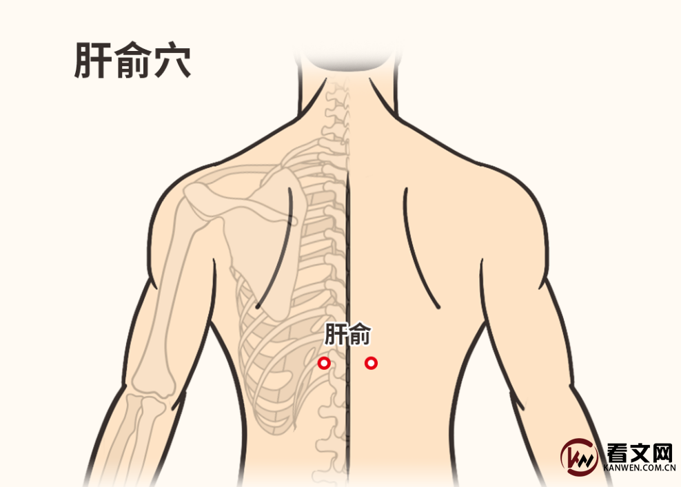 肝俞穴