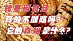 转基因食品真的会致癌吗？为什么人们如此恐惧？