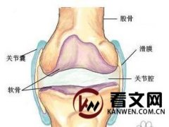 膝盖积水的治疗方法是什么