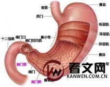 治疗胃反酸水有什么办法