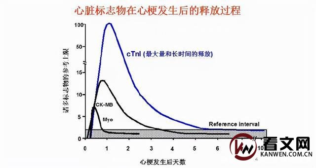 心肌酶谱