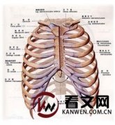 打球被撞到肋骨一直疼怎么办