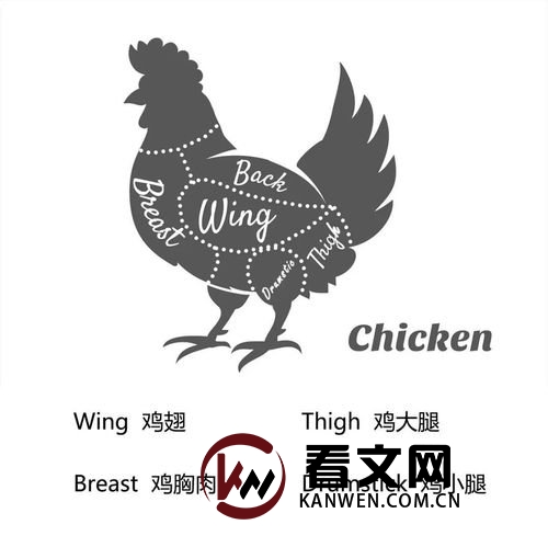 Chicken和Chiken：区分单词拼写的细微之处